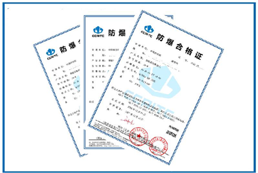 Case of Ex certification for assemblies