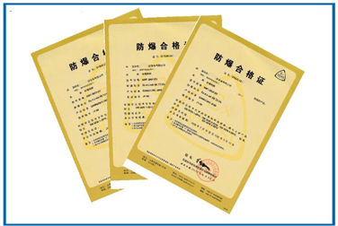 Case of Positive pressure explosion-proof certification