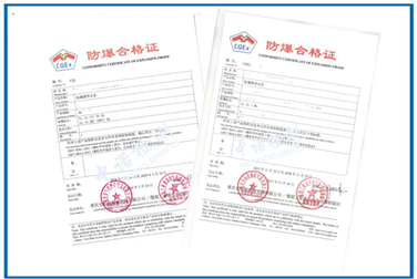 Case of Intrinsically Safe Ex Certification for Micro Water Pumps